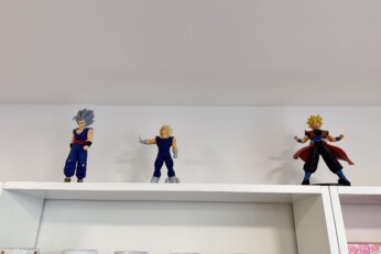 Figurines exposées sur une étagère dans une boutique manga à Cahors, représentant des personnages et créatures emblématiques.