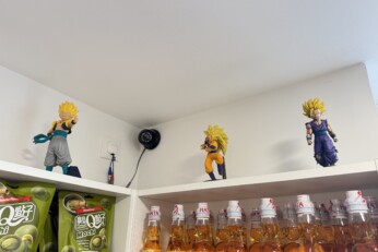 Figurines exposées sur une étagère dans une boutique manga à Cahors, représentant des personnages et créatures emblématiques.