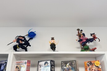 Figurines exposées sur une étagère dans une boutique manga à Cahors, représentant des personnages et créatures emblématiques.