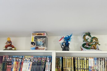 Figurines exposées sur une étagère dans une boutique manga à Cahors, représentant des personnages et créatures emblématiques.