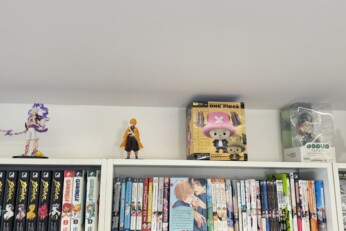 Figurines exposées sur une étagère dans une boutique manga à Cahors, représentant des personnages et créatures emblématiques.